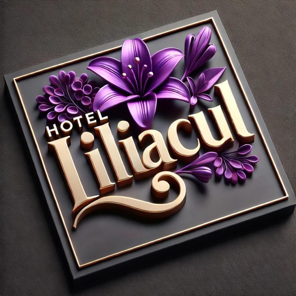 Hotel Liliacul Cluj-Napoca Exterior foto